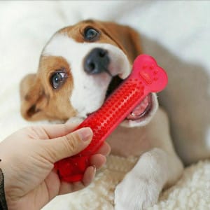 Juguetes para masticar hueso de goma para perro