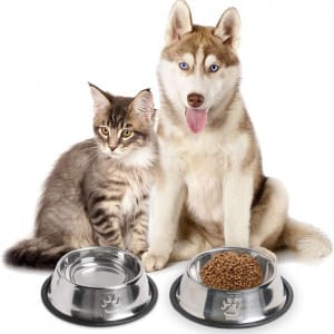 Plato Comedero Metálico De 12cm Antideslizante Para Gatos y Perro