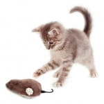 Ratón juguete para gato